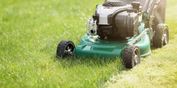 People are being told to not cut their grass in May for a good cause